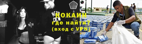 индика Тайга